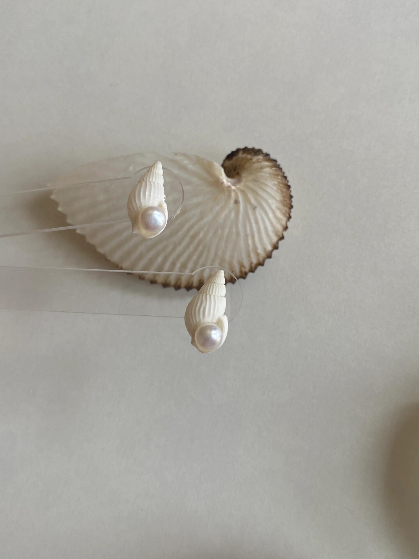 White Spiral Shell with Pearl Earrings
