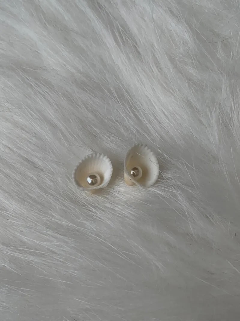 Clam Shell with Pearl Earrings