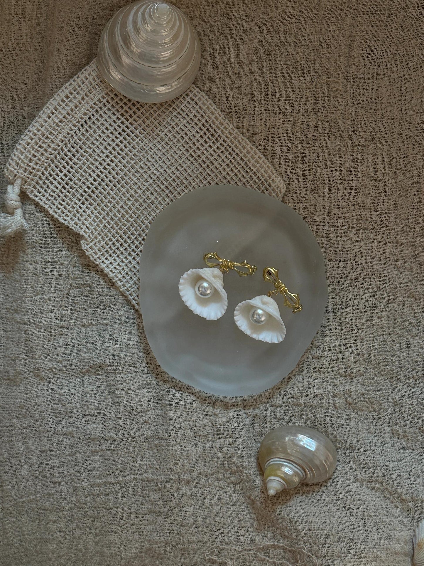Clam Shell with Pearl Brooch