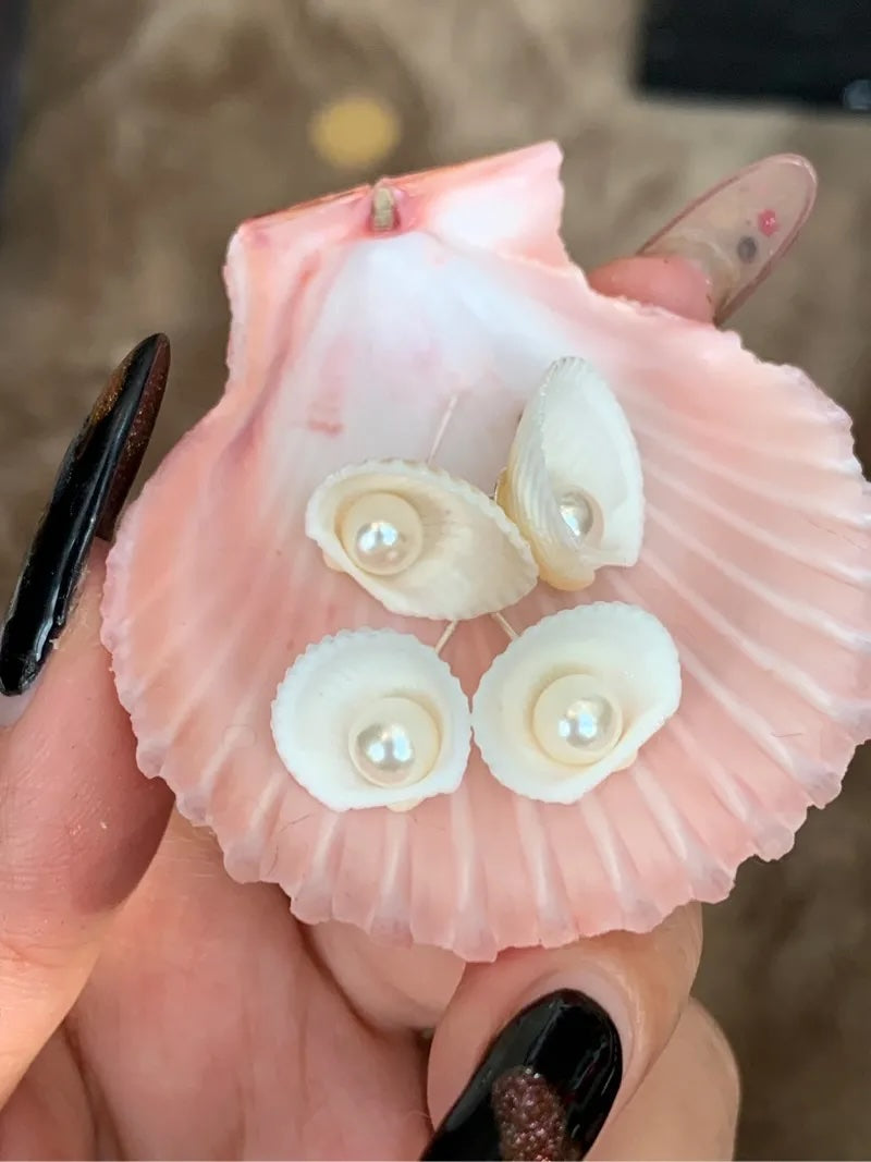 Clam Shell with Pearl Earrings